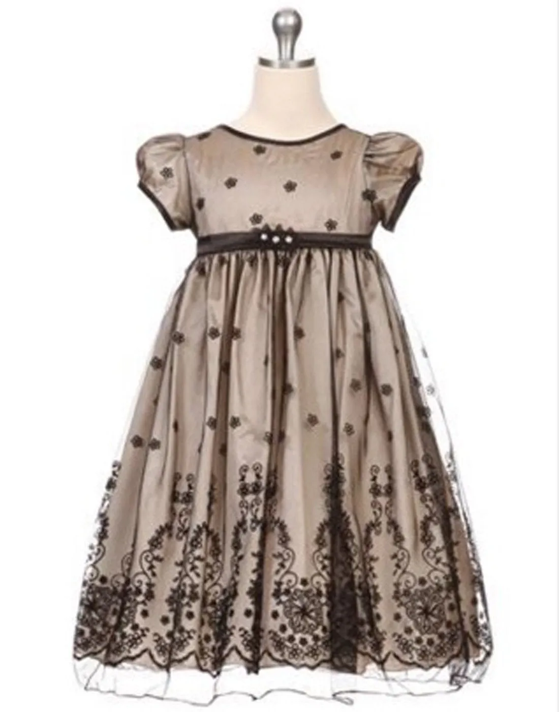 Taffeta and Floral Embroidered Tulle Overlay Dress - Champagne